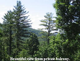 View from Porch02